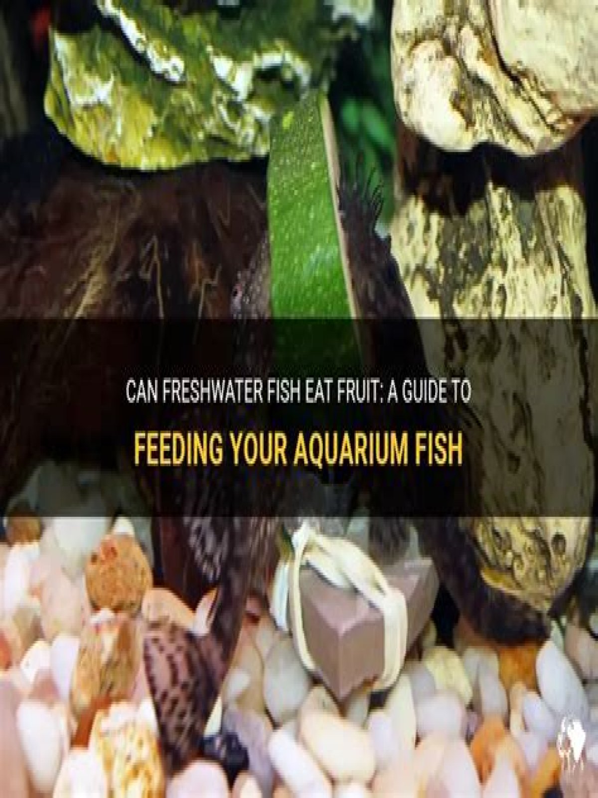 Can freshwater fish eat fruit?