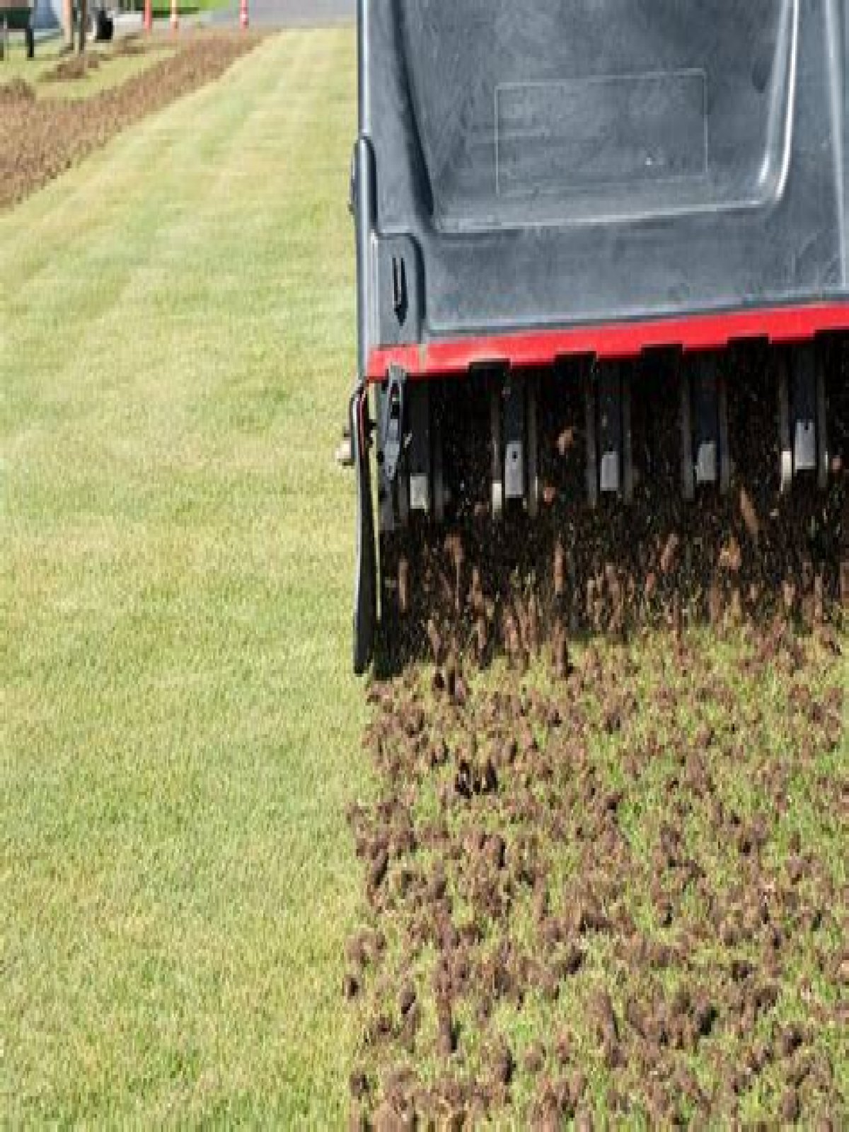 Do you need to fill in holes after aeration?