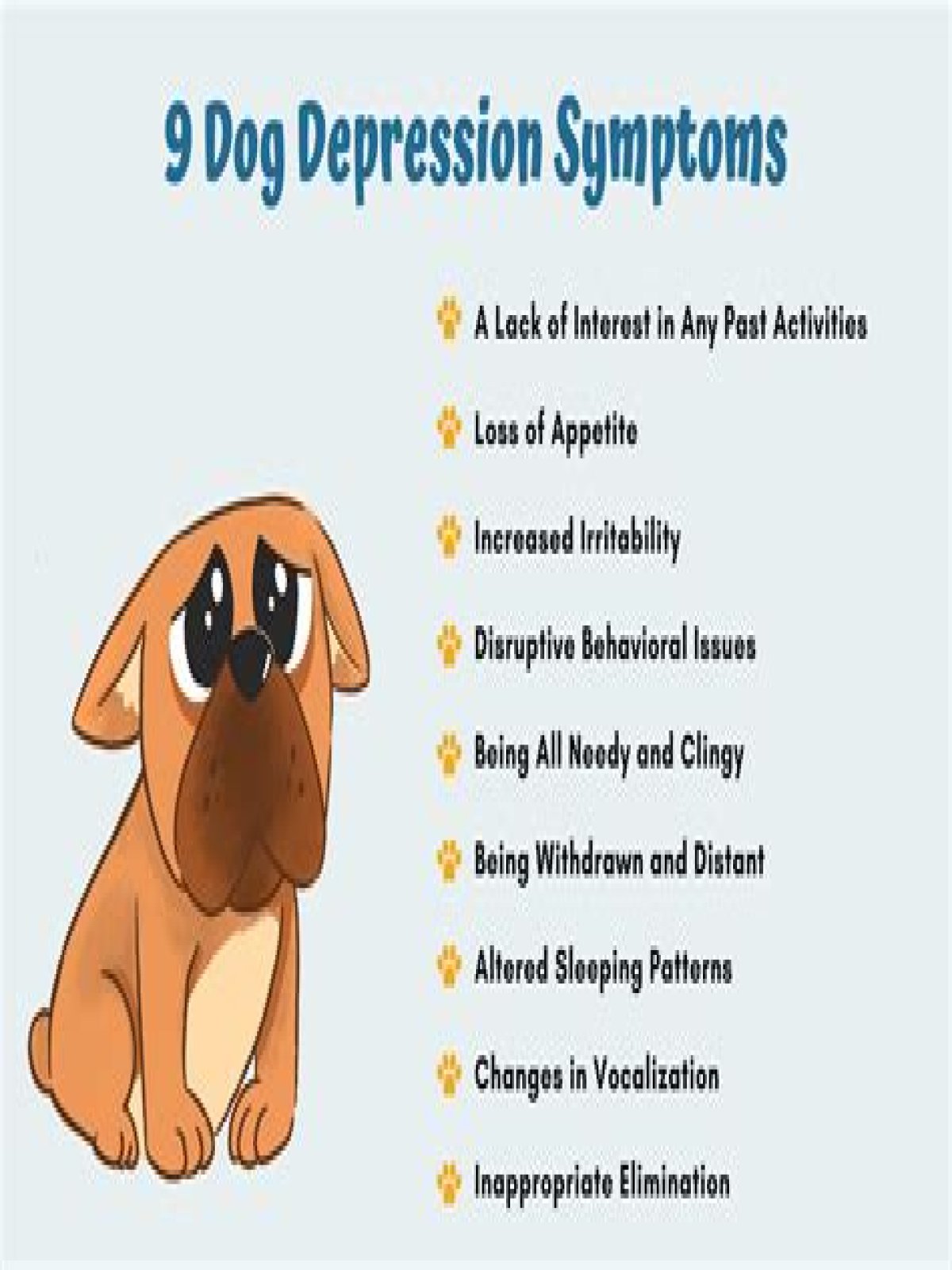 How do you know your dog is sad?