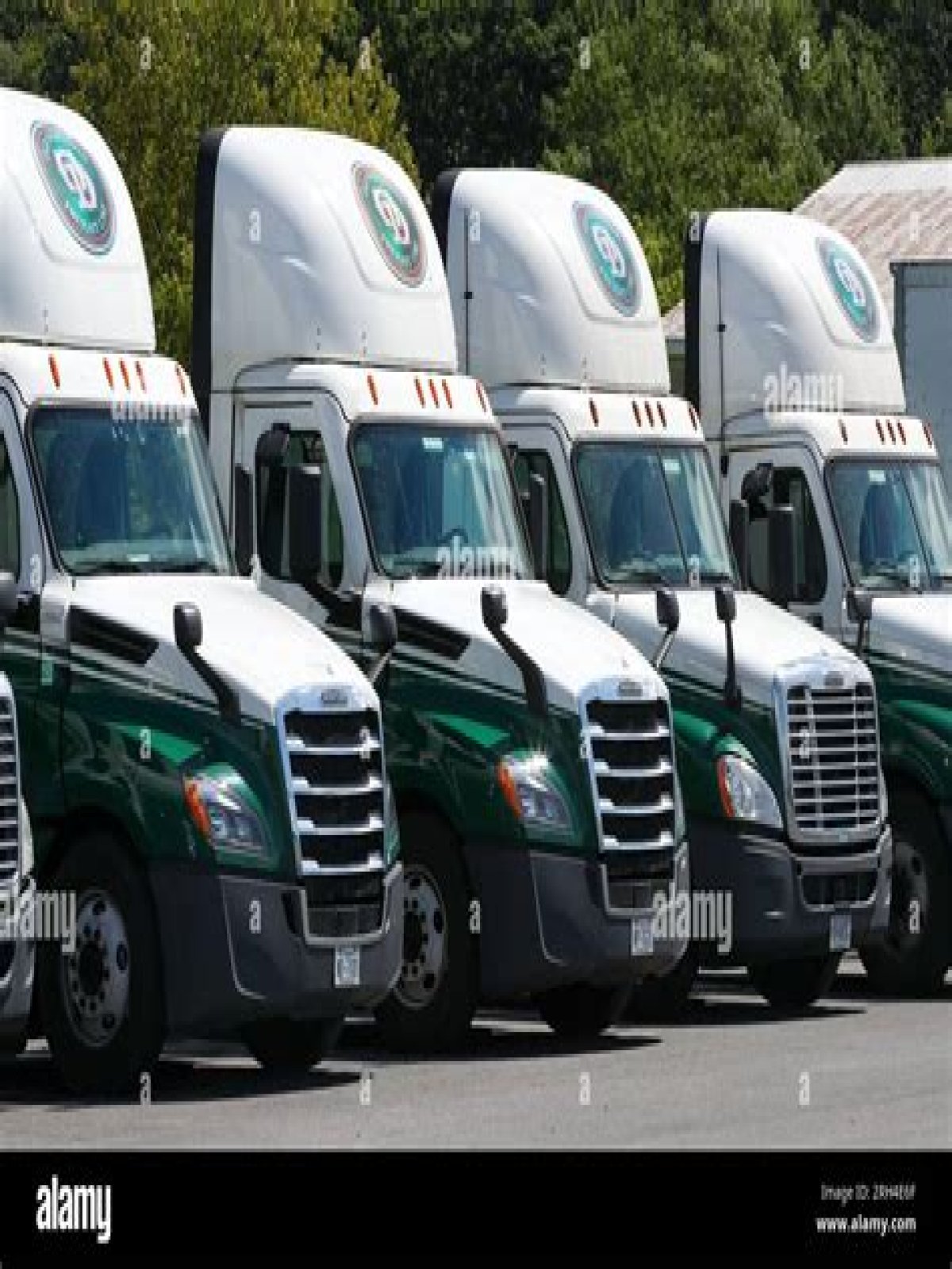 How many trucks does Old Dominion have?