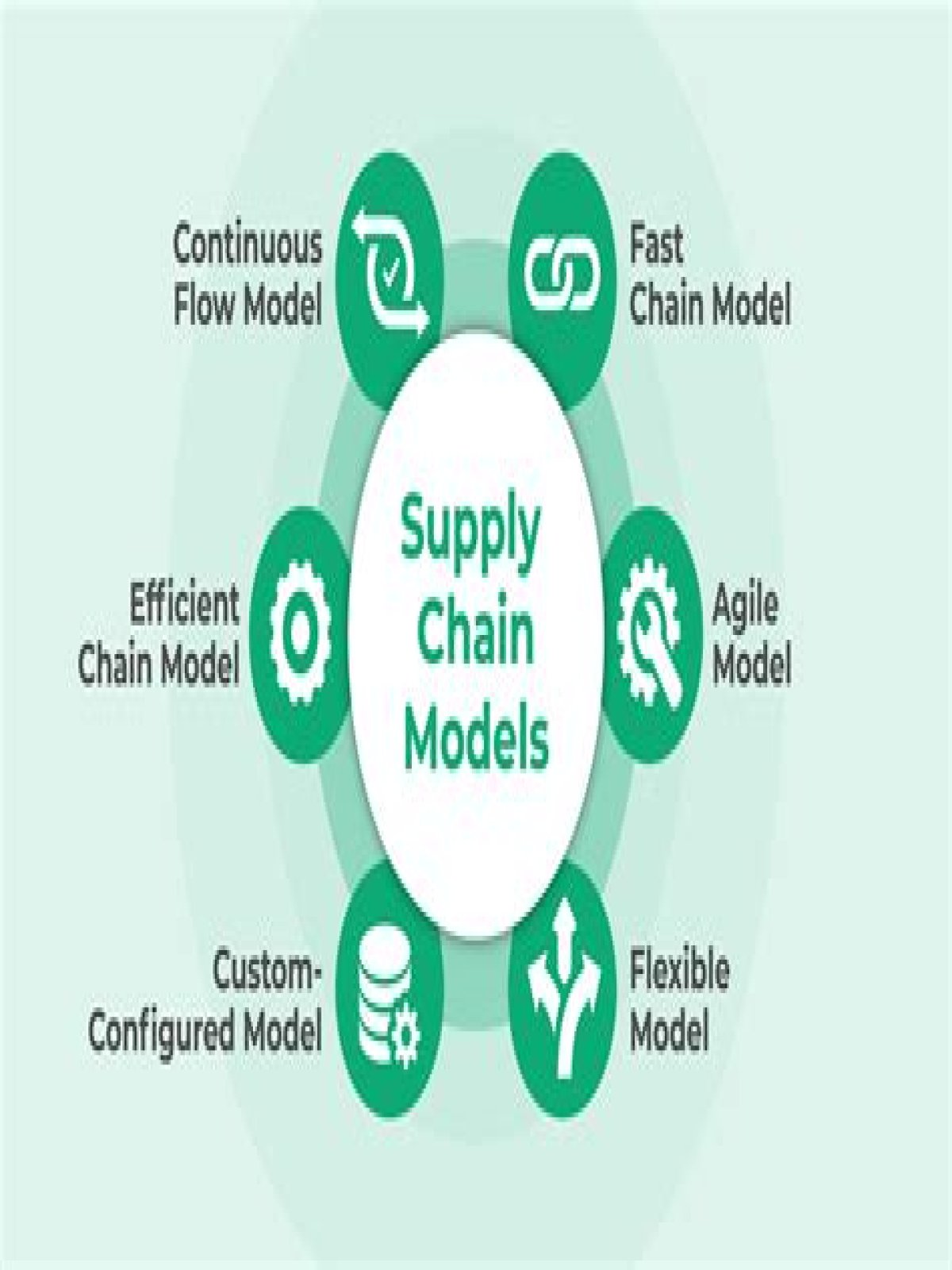What are the 5 types of supply chain?