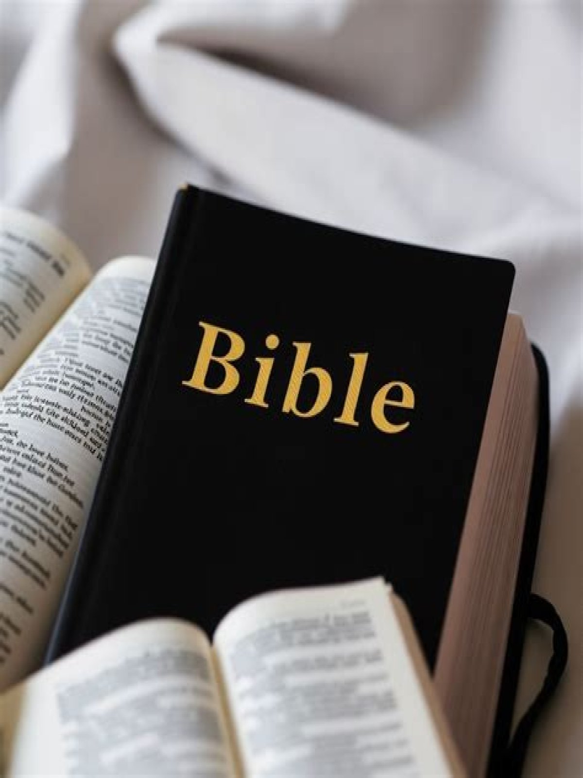 What was the occupation of Mark in the Bible