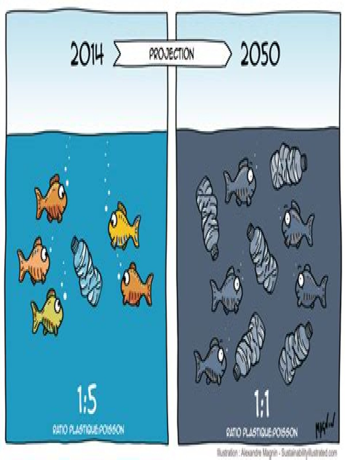 What will happen to the fish in 2050?