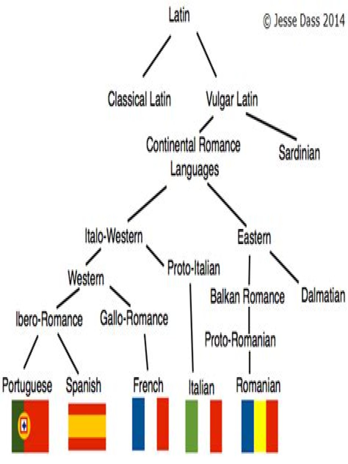 Which Latin language came first